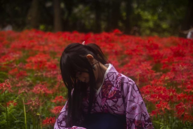彼岸花
*
*
ゆりこさんの写真集買ったのですがとても内容がよかったです。
自分には出来ない表現力やイメージを具現化できる人はとても素敵だと思いました。
今月も予定通りにいかないですが、なんとか生きていけるのでそれだけで十分だと思うことにしました。
人生のタイミングってたぶんここじゃないんだと思うし、具体的にイメージをもう少し詰めてから来年への準備をしよーっと。
*
*
Model @yuriko_hirasaka 
Location #japan 
*
#instagramjapan
#japan_of_insta
#art_of_japan_
#cools_japan
#ig_phos
#bestjapanpics
#kf_gallery 
#igersjp
#jp_gallery
#team_jp_
#photo_jpn 
#ptk_japan　
#wp_japan
#jp_mood
#whim_life
#icu_japan
#tokyocameraclub
#good_portraits_world 
#lovers_nippon_portrait